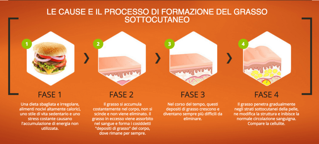 Come si forma la cellulite